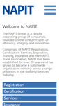 Mobile Screenshot of napitgroup.com